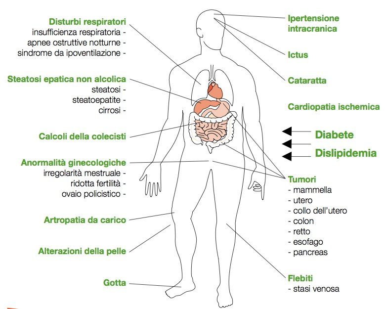 schema di complicanze dell'obesità