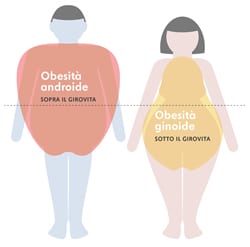 schema di obesità androide e ginoide