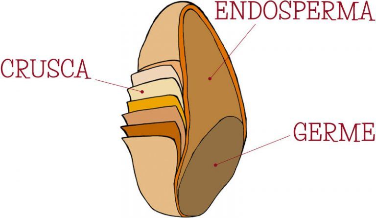 ChiccoGrano Nutrizione Sana
