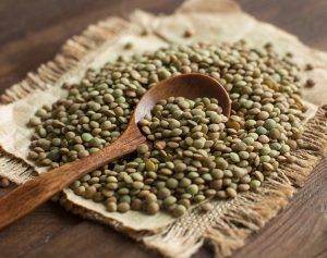 Green lentils 