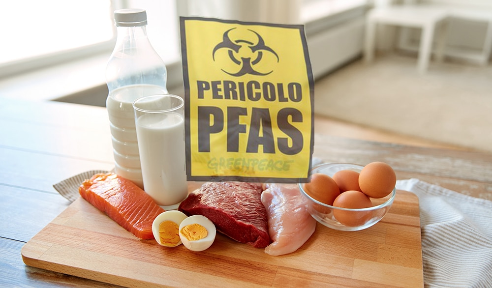PFAS CIBI Pesce, carne, uova: i cibi inquinati da PFAS sulle nostre tavole
