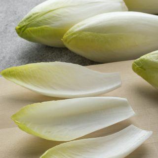 indivia foglie