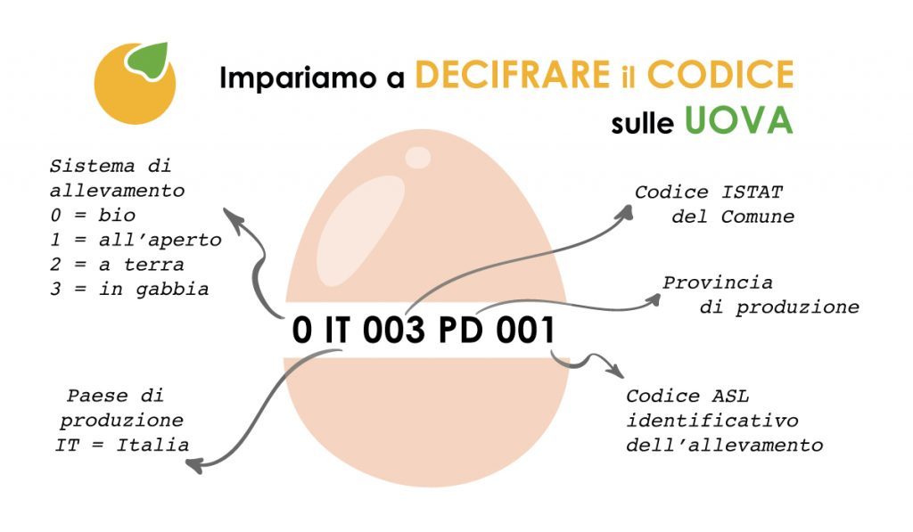 leggere il codice uova