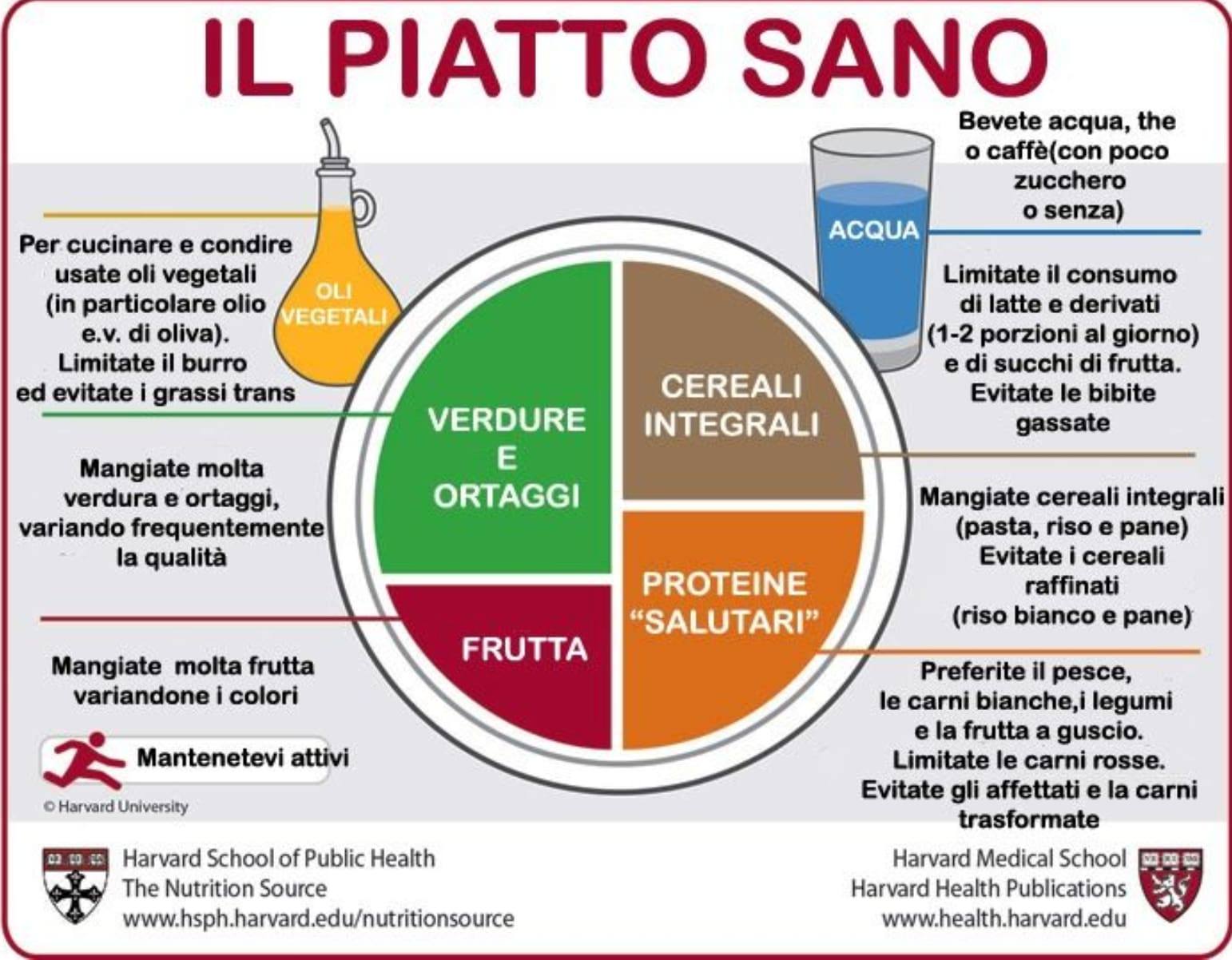 Distribuzione degli alimenti nel piatto sano