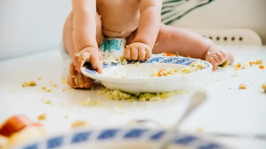 come e quando fare lo svezzamento del proprio bambino nutrizionisti di nutrizione sana Lo svezzamento