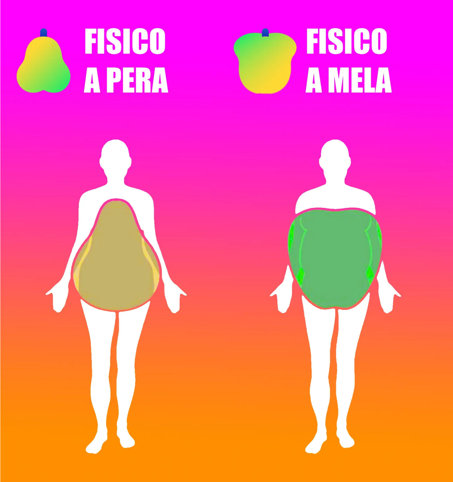 Differenza fra fisico a pera e fisico a mela