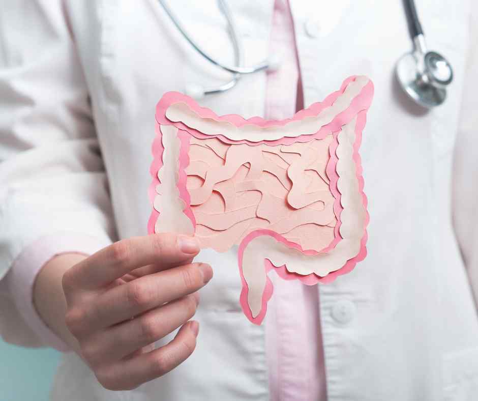 Alimentazione e Stanchezza il microbiota