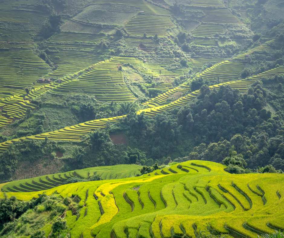 cucina bioenergetica l'orientale