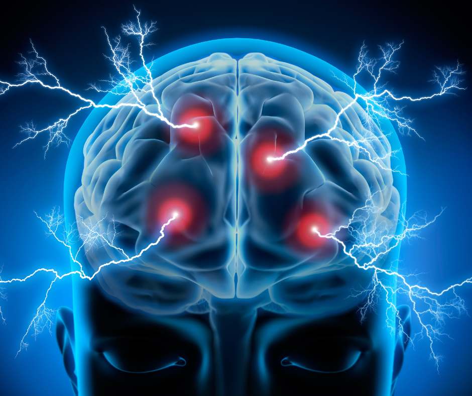 Pesce azzurro superfood di omega3 per il cervello