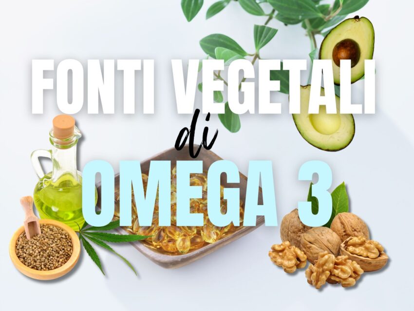Le principali fonti vegetali di omega 3
