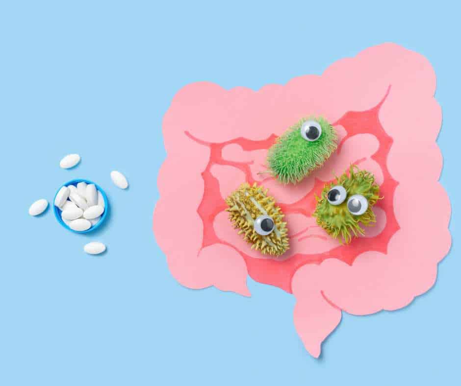 Dieta e Candidosi l'importanza del microbiota intestinale