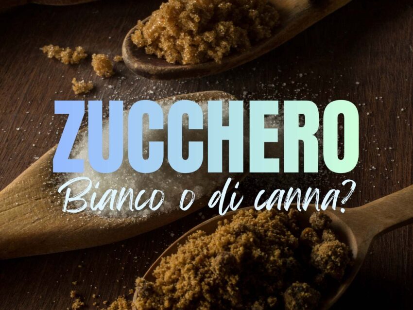 Zucchero bianco o di canna